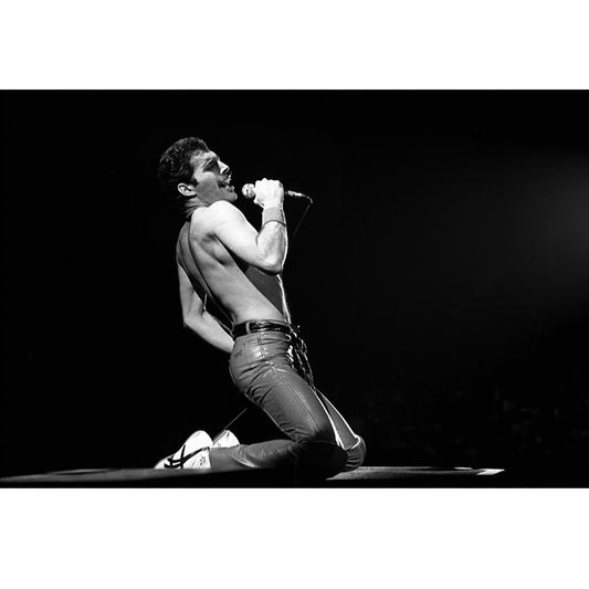 Freddie Mercury 1981