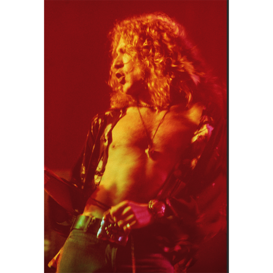 Led Zeppelin | Robert Plant